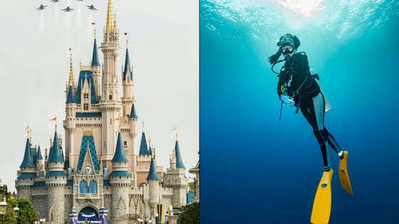 The Most Magical Heist On Earth: A Man In Scuba Gear Reportedly Robbed A Disney Restaurant Of Thousands Of Dollars Then Jumped Into The Water And Swam Away