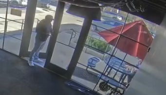 Brandon Stole Big Cat's Lunch And We Cannot Move Forward