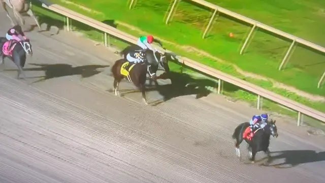 A Horseplayer Filed a Lawsuit Against The Horse Racing Industry And It Sounds Like Dave Might Get Involved