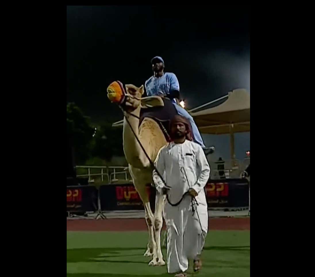 MLB Needs To Copy This Middle Eastern Baseball League And Start Using Bullpen Camels When Pitchers Come Into The Game