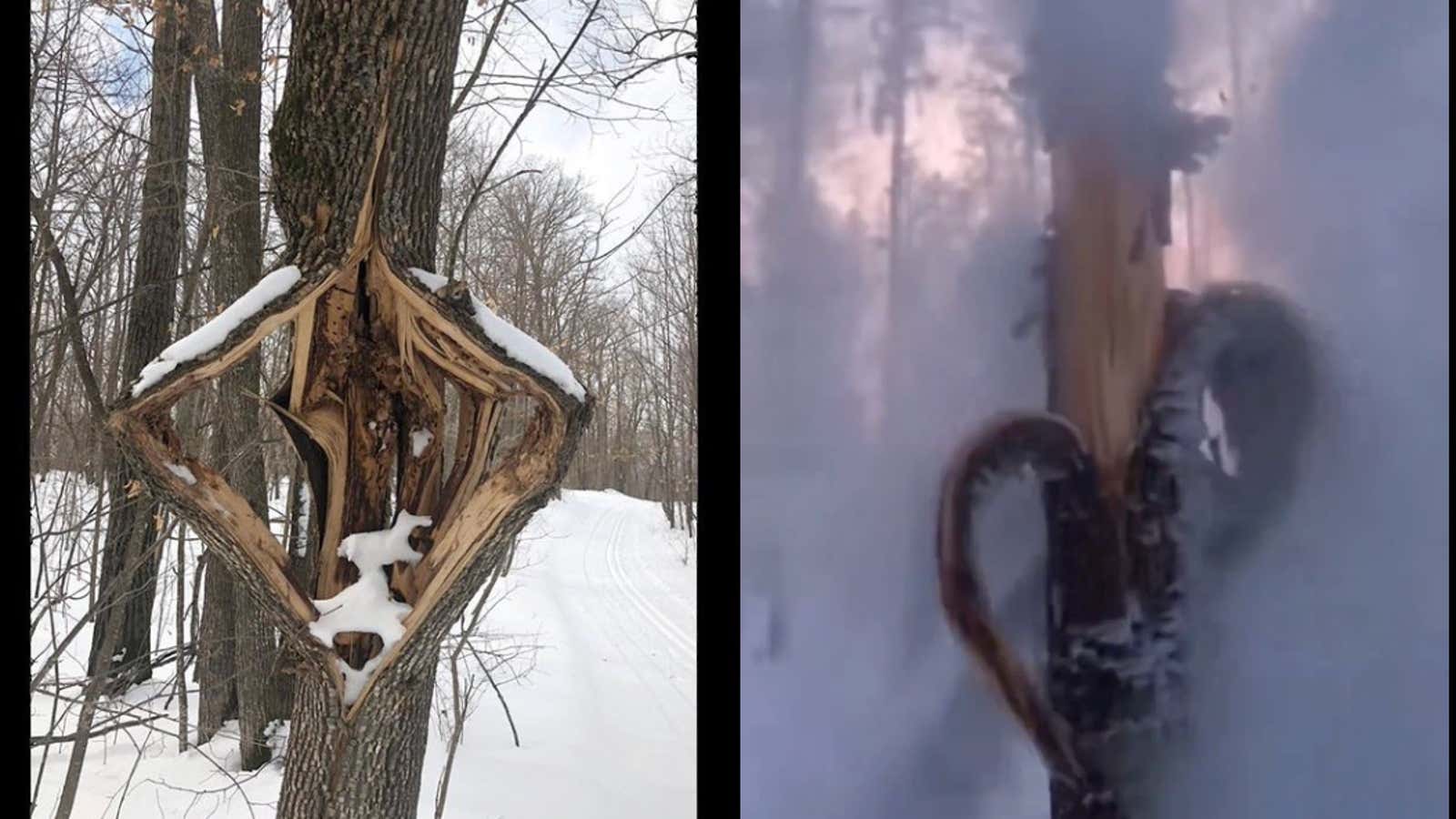 The Videos Of Trees EXPLODING From The Extreme Cold Are Wild