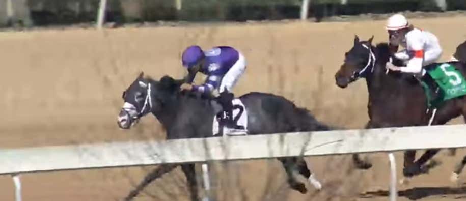 Silver Syndicate Runs Strong For Go Go Greys And We Have Two Derby Preps On Saturday - Kentucky Derby Prepping With Mut Volume 4