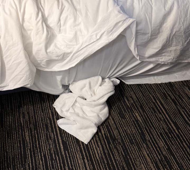 What's The Policy On Hotel Cranks In A Shared Room?