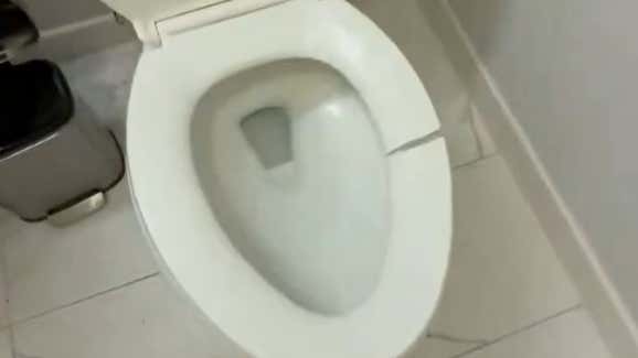 Mintzy Is A Hell Of A Guy For Letting Ronny Doitche Crash At His Place - But His Toilet Seat Is A Crime Against Humanity
