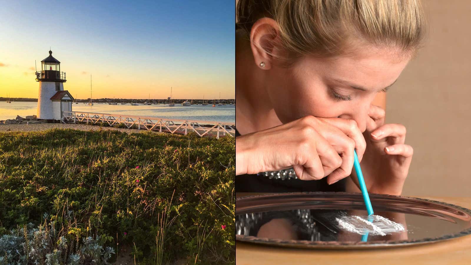 The Testing of Wastewater Indicates That the Entire Island of Nantucket is High as Lab Rats on Cocaine