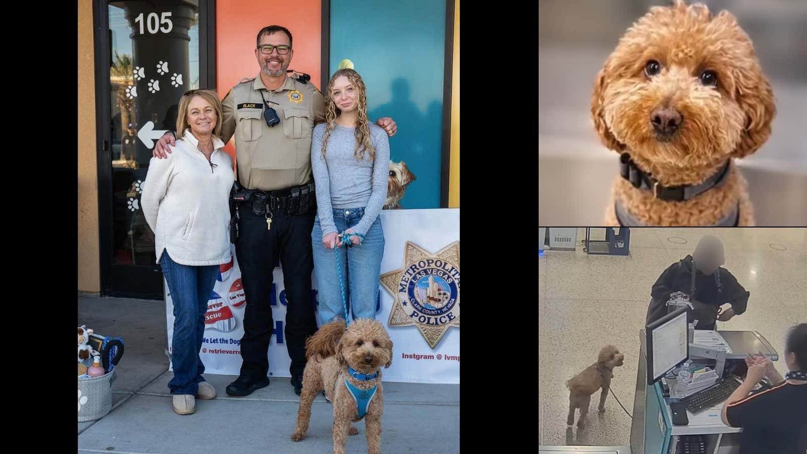 An Awful Human Being Abandoned Her Adorable Dog At The Airport Because She Failed To Fill Out The Proper Documentation To Fly With a Pet - One Of The Local Police Officers Has Adopted The Dog And I Now Hope The Original Owner Never Finds Happiness Again