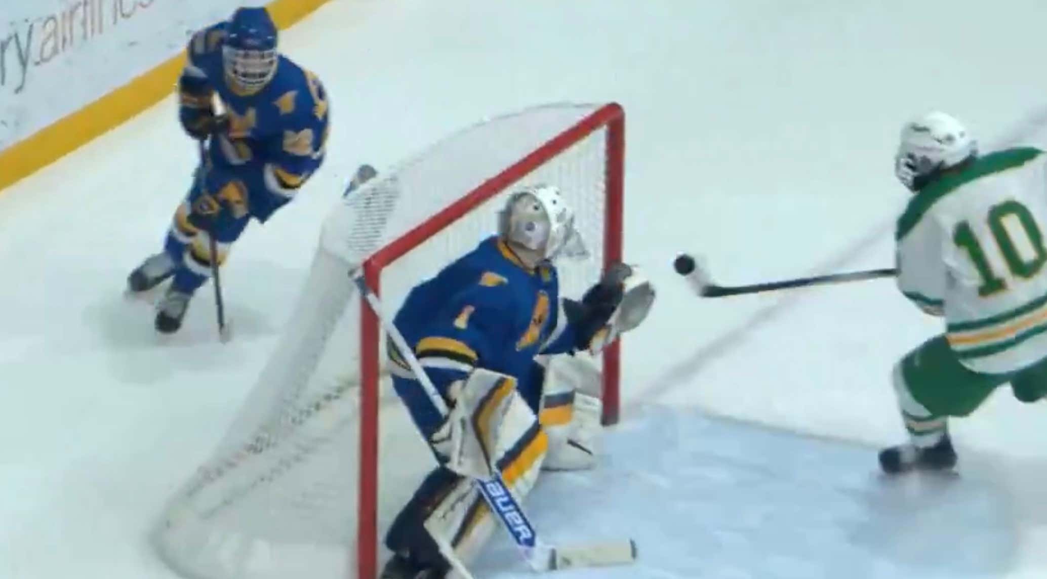 The Edina Hornets Scored One Of The Stupidest Goals You'll Ever See To Help Advance To Their 5th Straight Minnesota High School Hockey State Championship