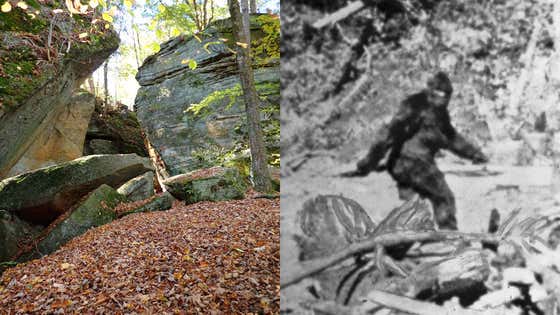 RED ALERT OHIO!!! LOCK YOUR DOORS!!!&ndash; We Have Multiple New Reports of Bigfoots Making Their Way Through Portage County Outside Of Cleveland