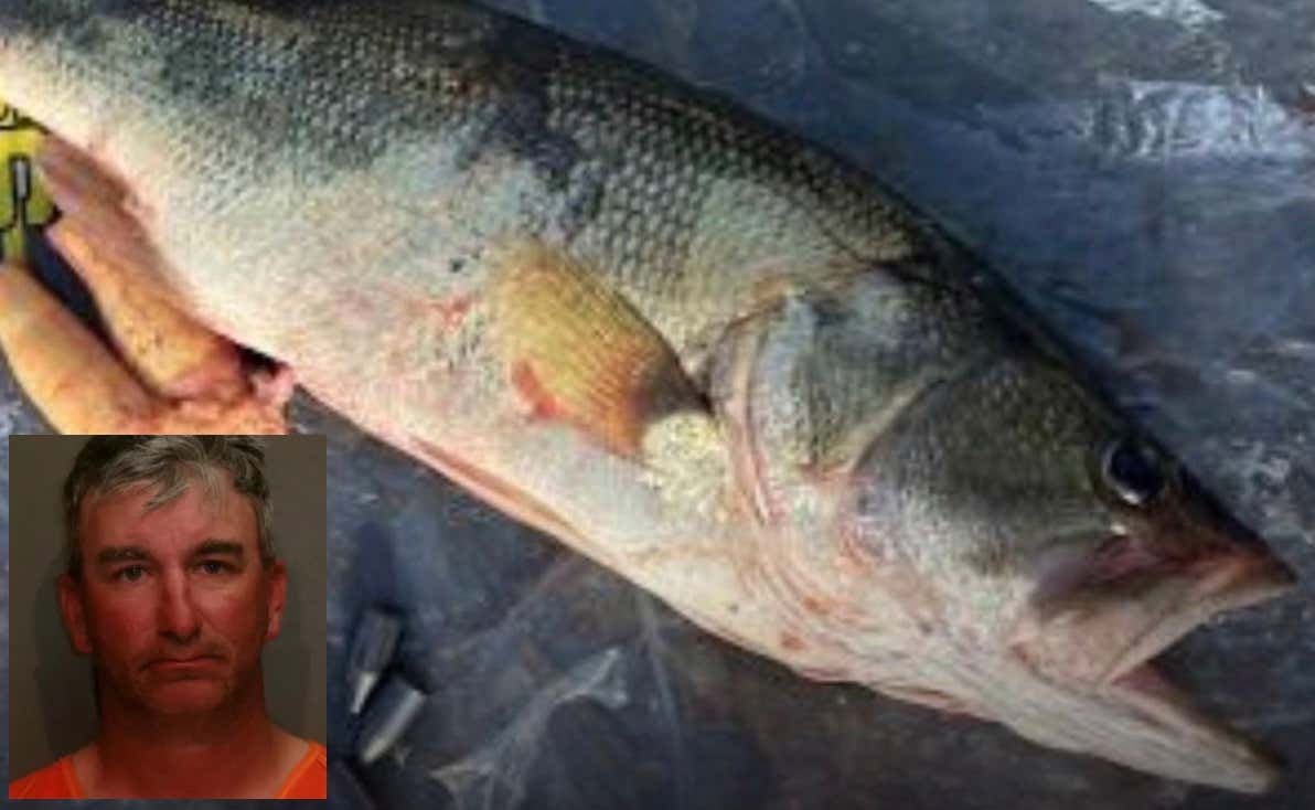 Weights In Fish Pt. 2 – Texas Fisherman Facing 10 Years In Prison After Tournament Discovers Three 0.75-Ounce Weights In Largemouth Bass