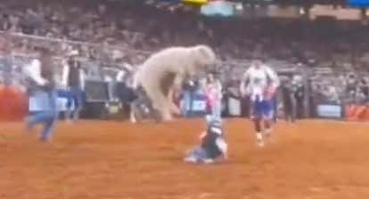 The Muttons Are Bustin' Back