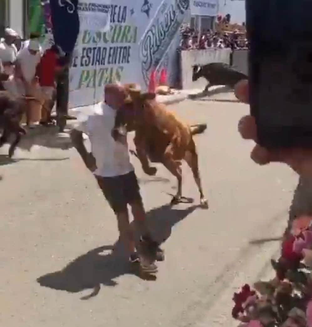 Watch This Guy Get Absolutely Steamrolled By Charging Bull at San José Fair's Running of The Bulls in Peru