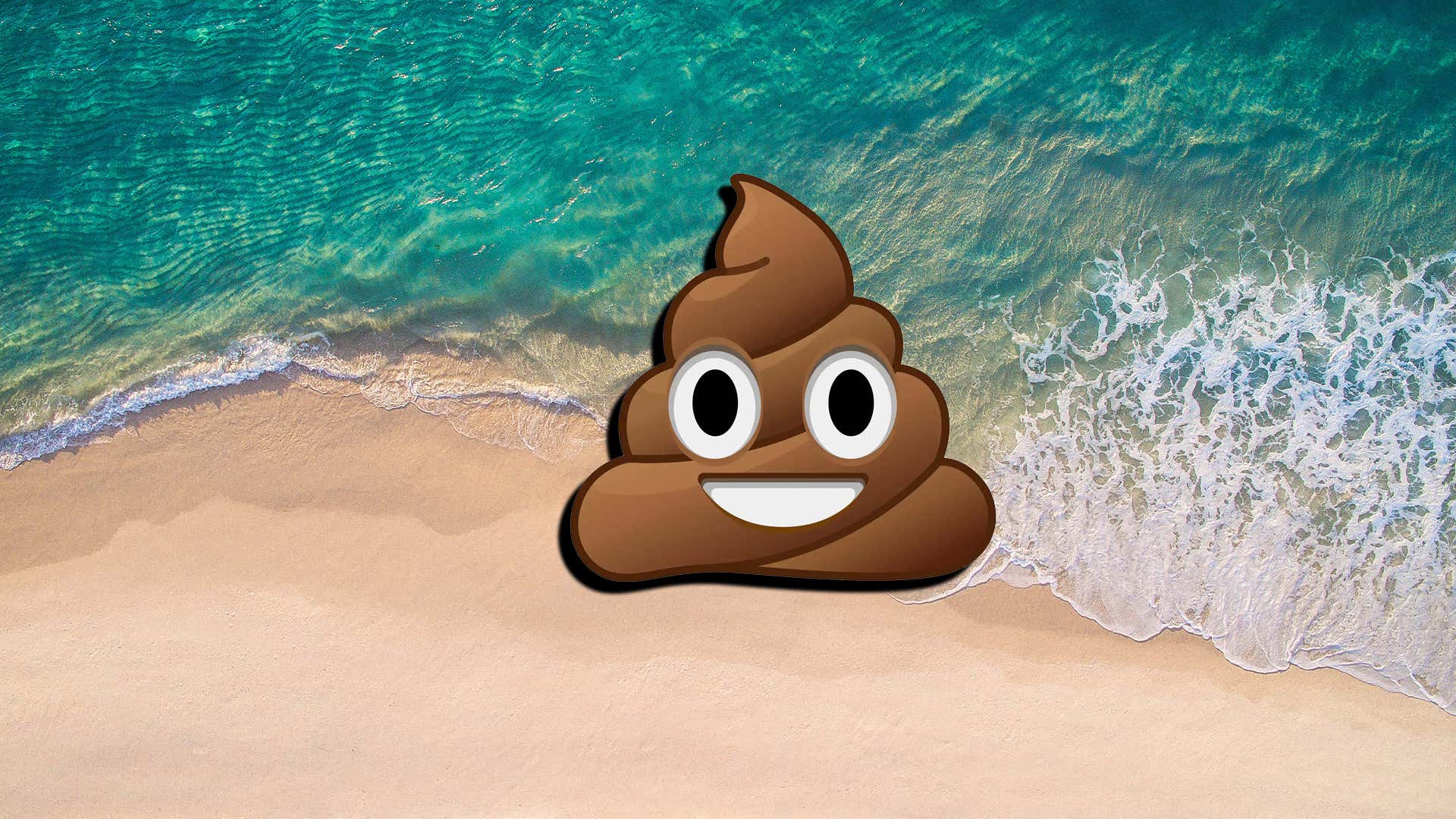 A Software Company Accidentally Sent 120 Of Their Employees On Diarrhea Island