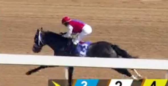 Another Fast Effort From Go Go Grey's Silver Syndicate And The Derby Top 5 - Kentucky Derby Prepping w/ Mut Volume 13