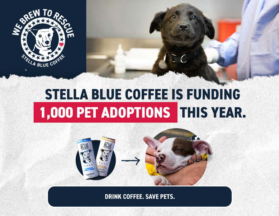 Stella Blue Coffee 