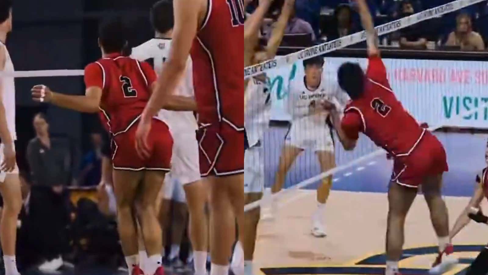 This Fabulous Cal State Northridge Men's Volleyball Player Is Lighting The World On Fire With His Flamboyant Celebrations