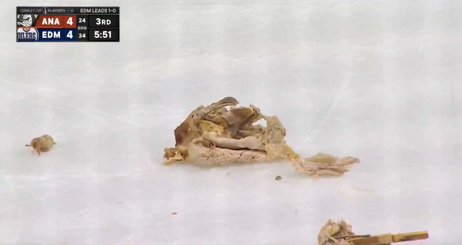 Oilers Fans Threw a Cooked Duck (Or Rotisserie Chicken?) On The Ice During Last Night's Playoff Loss To The Anaheim Ducks