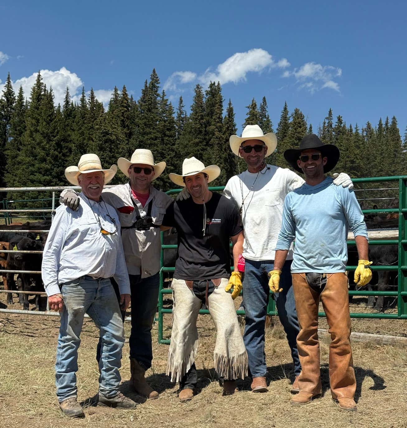My Friends and I Paid Good Money to Get Kicked by Calves, and I'd Do It Again Tomorrow. The Double Rafter Cattle Drive That Broke Me and Rebuilt Me Over Four Days In Wyoming.