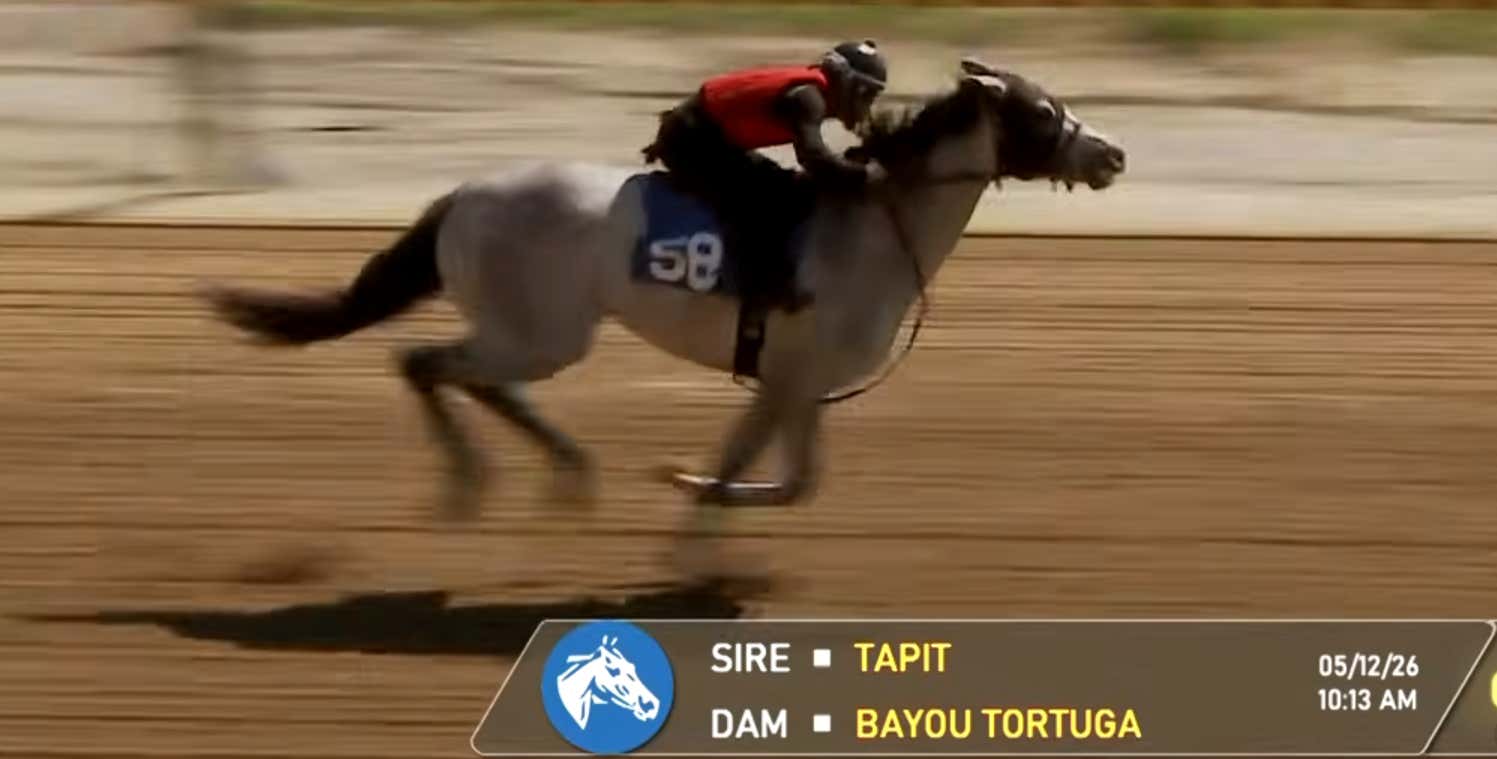 No Derby Winner But Huge Preakness TV Ratings. Plus A New Addition To Go Go Greys Stables - Kentucky Derby Prepping With Mut