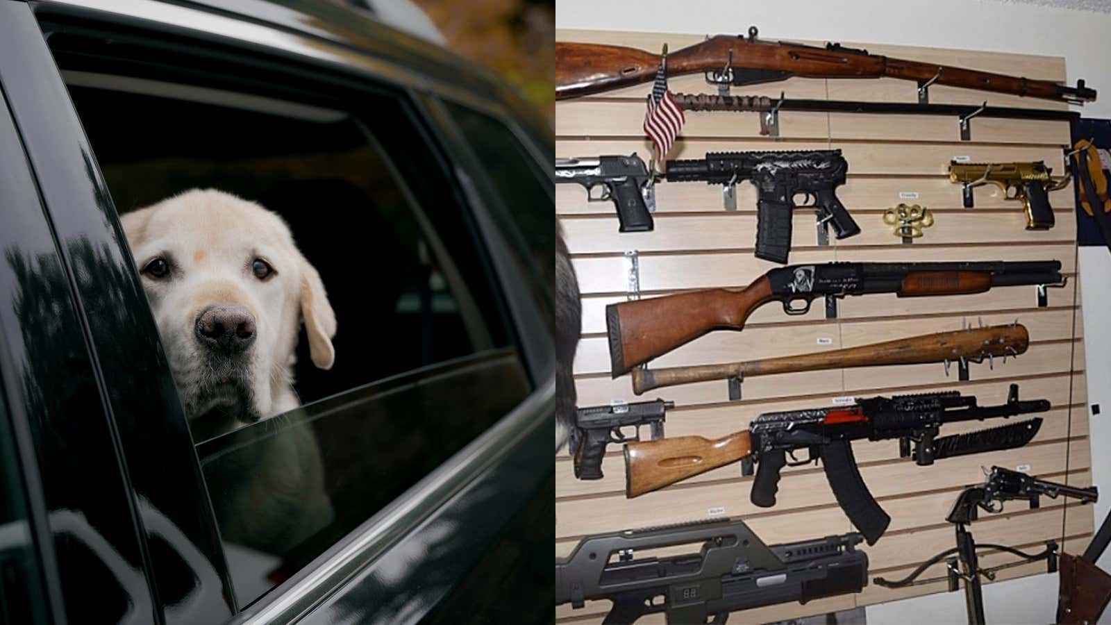 This Woman in Nebraska Was Shot By a Dog. Imagine Being Shot By a Dog.