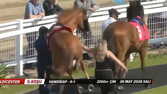 Watch This Horse Groomer Approach Her Horse From Behind and Get Kicked Into Another Dimension