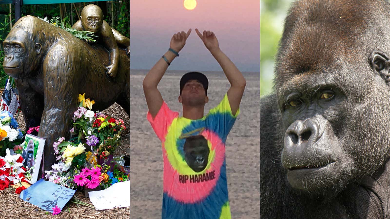 "Rest Easy To A True Patriot" The White House Tweeted Out A Touching Tribute To Harambe For The 10 Year Anniversary Of His Tragic Death While Pablo Torre Posted An Unreleased Video Of The Cincy Legend Literally Eating His Own Shit. RIPIP