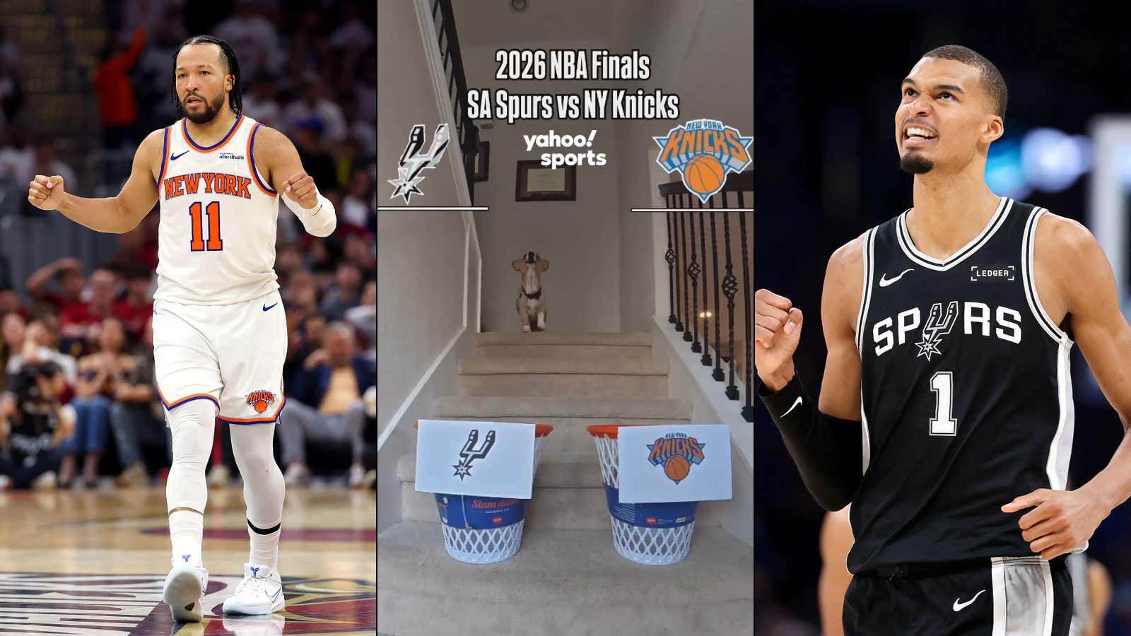 The Results Are In: Air Corgi Has Made Her Choice For The 2026 NBA Finals