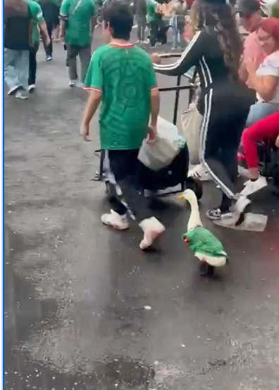 All Hands On Deck: Mexico Has A Damn Duck Wearing A National Team Jersey And Walking Around The Streets With Fellow Fans