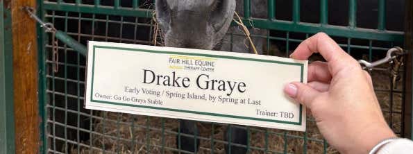 You Know Drake Maye The Quarterback - Now We Have Our First Look At Drake Graye The Race Horse