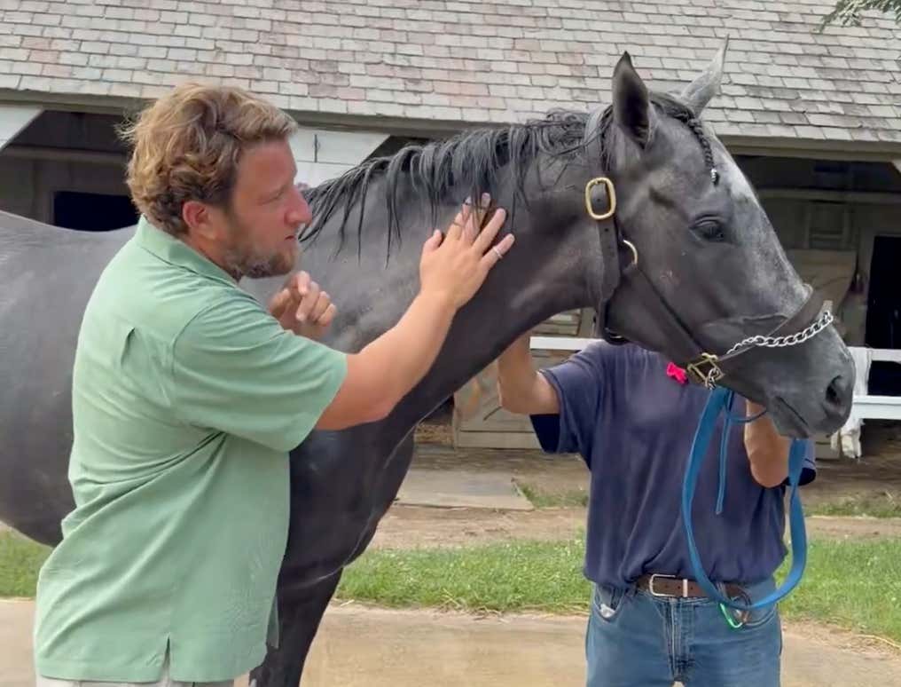 "She's Doing Great" - Go Go Greys 'Lovely Grey' Is Okay After A Scary Saratoga Spill And Her Owners Response Shows Why Horse Racing Needs To Get Him More Involved In The Sport