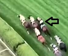 The Video Shows That NYRA 100% Got It Right With The Paco Lopez Suspension And CAWs Betting Less At Saratoga - At The Post With Mut