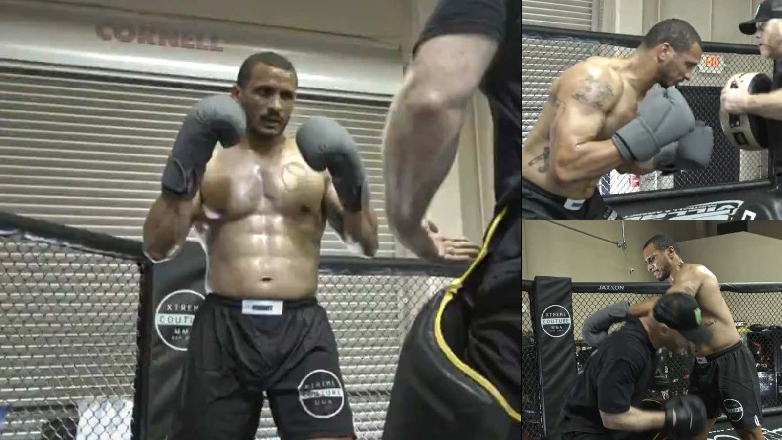 Psycho Joe Mazzulla Is Suddenly Jacked As Hell And Will Absolutely Beat Your Ass