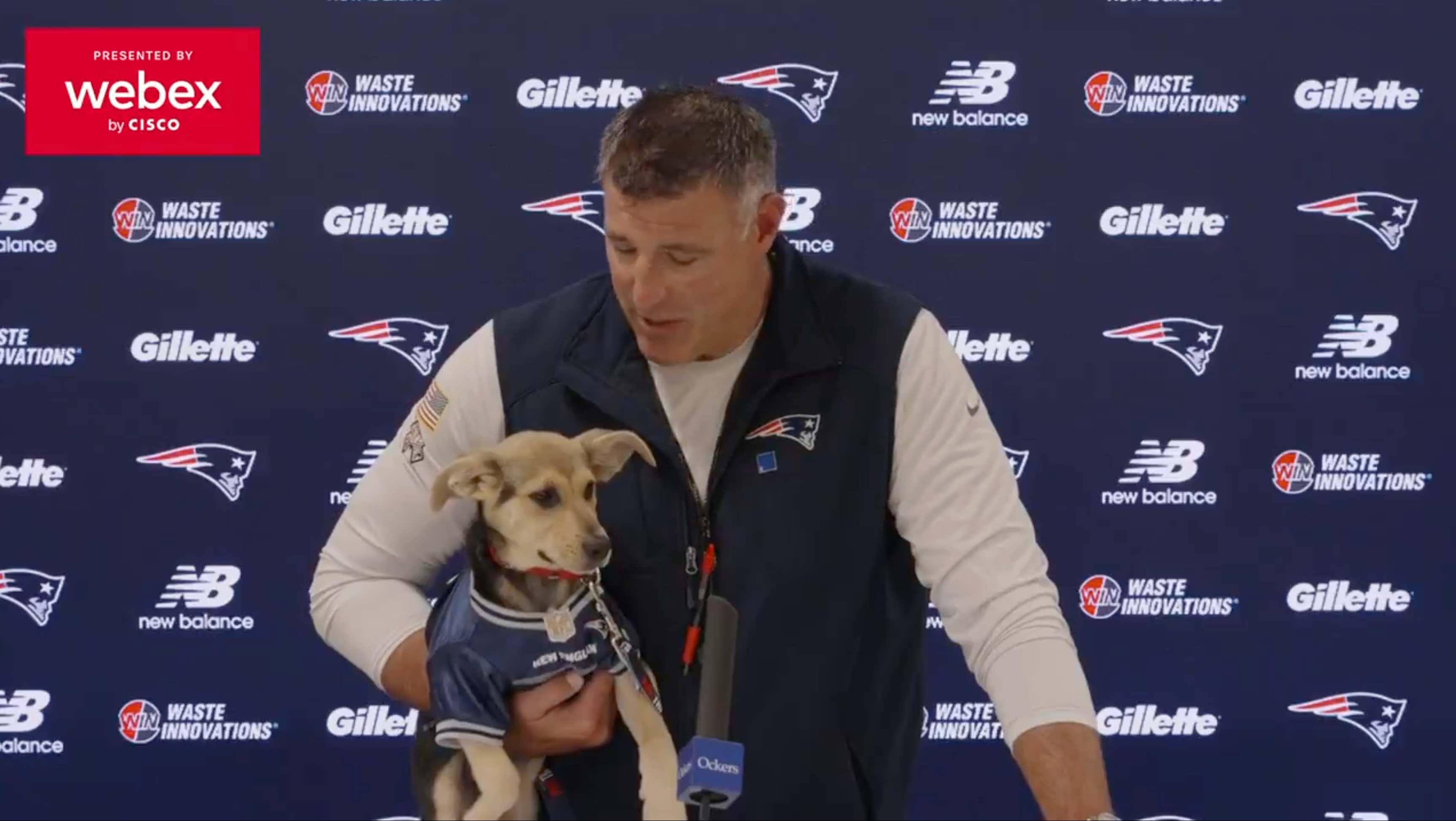 Mike Vrabel Has Invented The Puppy Shield And The Press Never Stood A Chance
