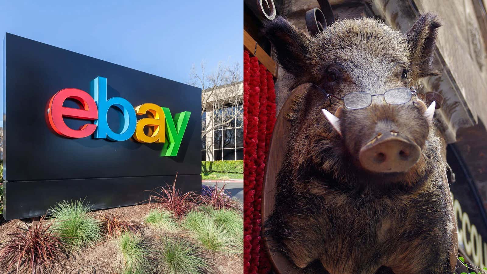 eBay Agrees to Pay $50M to Blogging Couple Who They Mailed Cockroaches, Spiders, and a Bloody Pig Mask, To Intimidate Them Out of Publishing Critical Articles