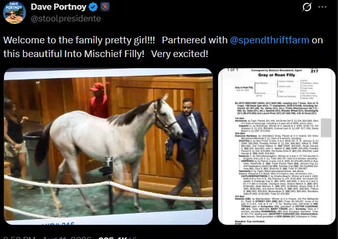 Dave And Go Go Greys Go Big at Saratoga: A $1.8M Into Mischief Filly + New Partnership With Mike Repole As Part Of A Record-Breaking Sale