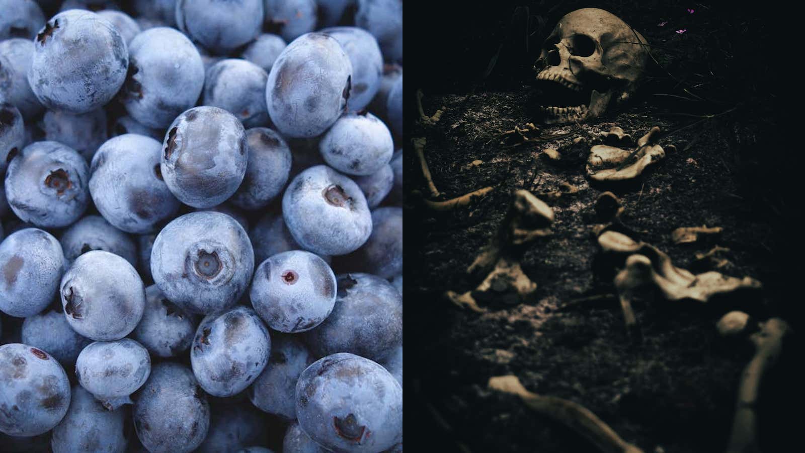 Blueberries Are Going To Kill You