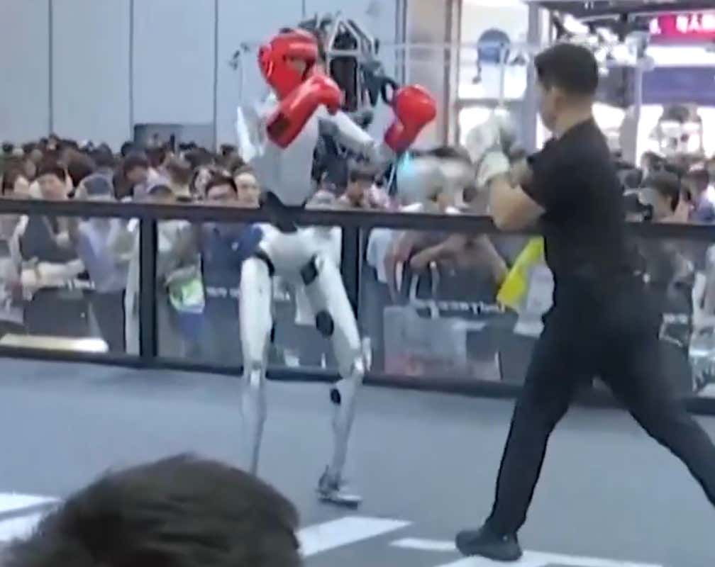I Would Beat The Shit Out of This Robot