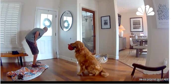 Counterpoint: Everybody Be Nice To This Golden Retriever That Just Wanted To Play With The Meth-Head Robbing His Family’s House