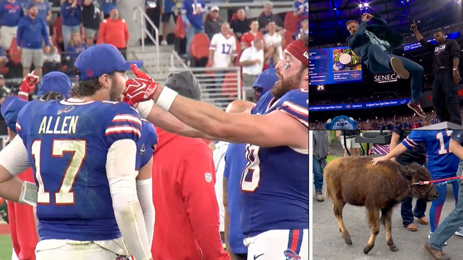 Bruce The Bison, Mr. Brightside And Ryan Fitzpatrick Through A Table - There Was Never A Doubt The Bills Would Kick The Lions Ass