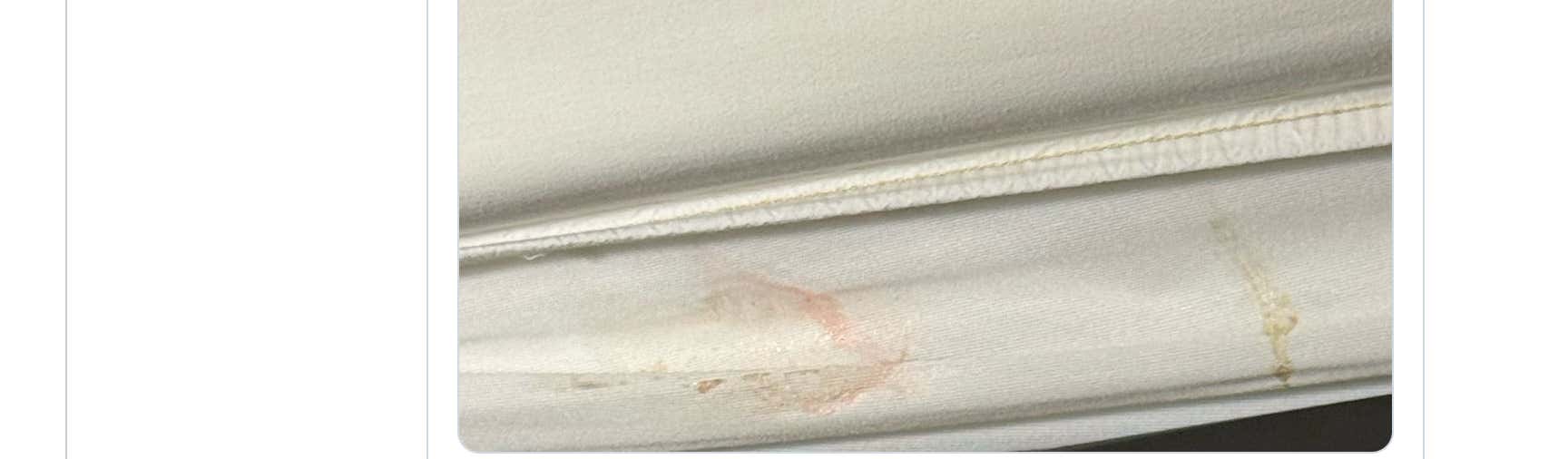 Mintzy And Tate May Have Bed Bugs