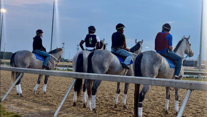 A Tournament Blunder, A Big Week For Go Go Greys & Picks For Saturday At Churchill Downs - At The Post With Mut