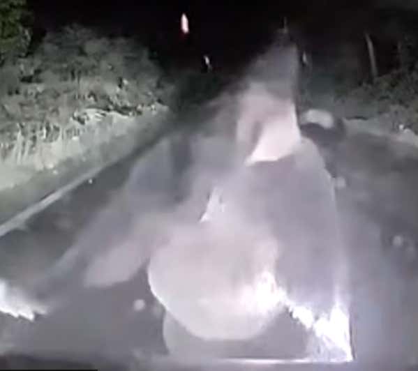 Dashcam Video In Japan Shows A Bear Attacking A Car And The Craziest Thing Of All To Me Is The Driver Doesn't Fully Panic