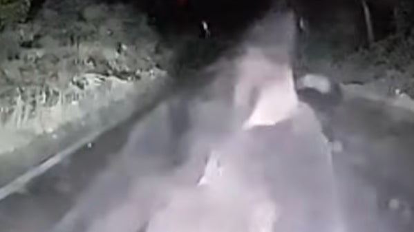 Dashcam Video In Japan Shows A Bear Attacking A Car And The Craziest Thing Of All To Me Is The Driver Doesn't Fully Panic