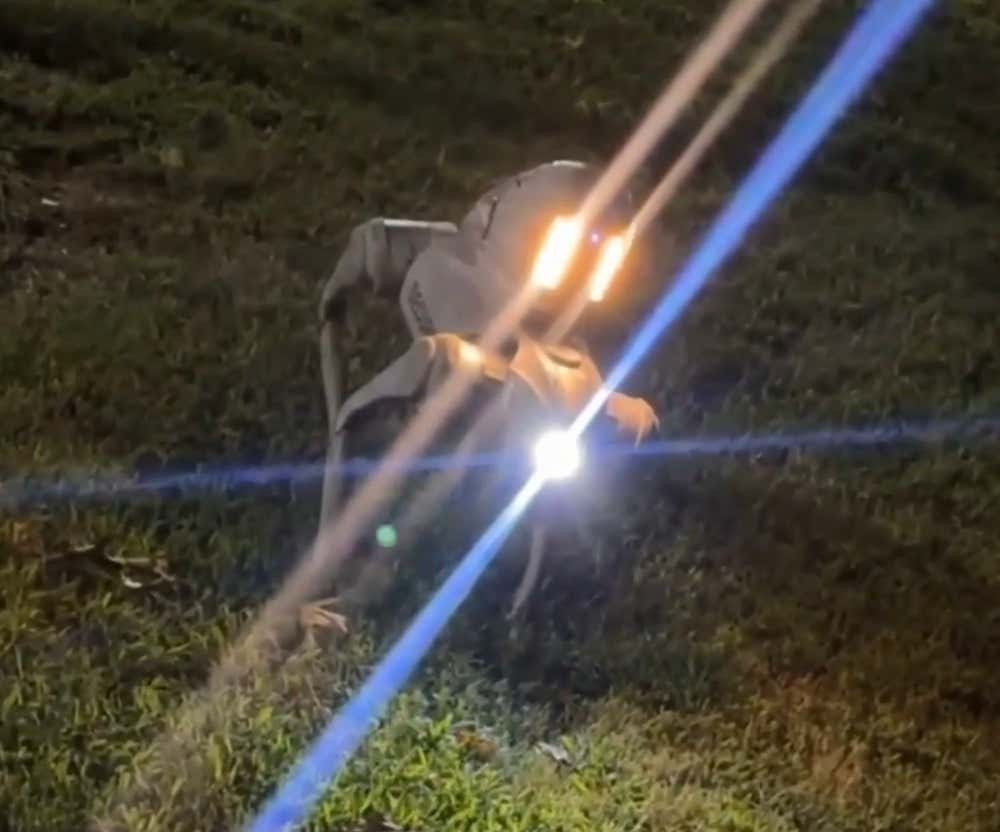 There Are Indian Robot Security Dogs Patrolling the Grounds of an Apartment Complex in Atlanta