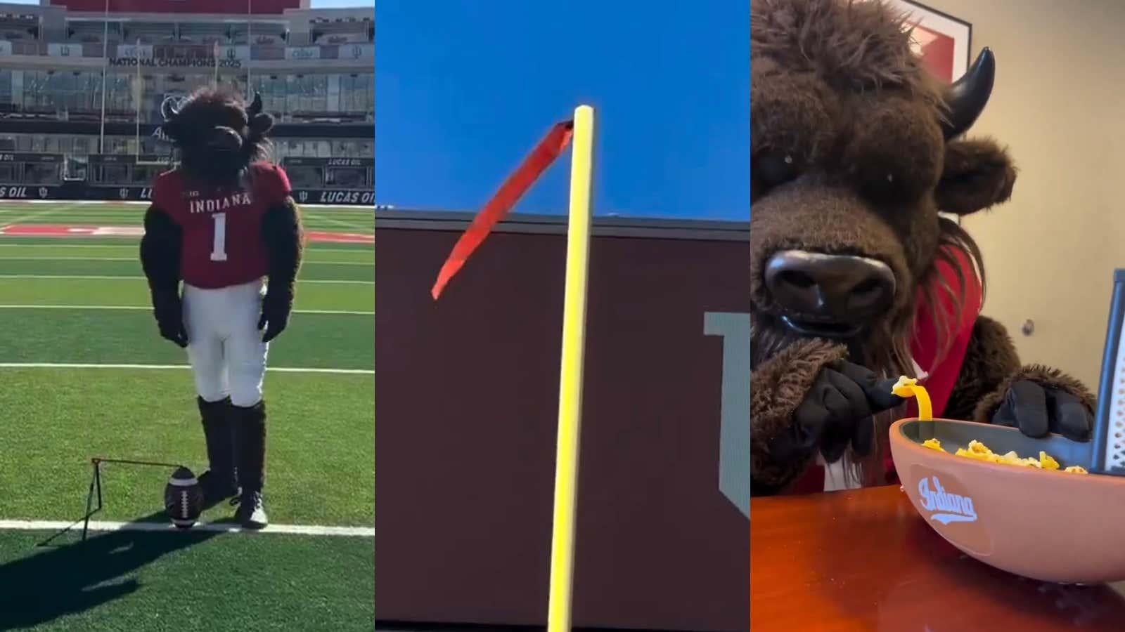 Undefeated Mascot Hoosier The Bison Trolled Ohio State Over Missed Field Goal in Big Ten Championship via Field Goal Popcorn Bucket Video