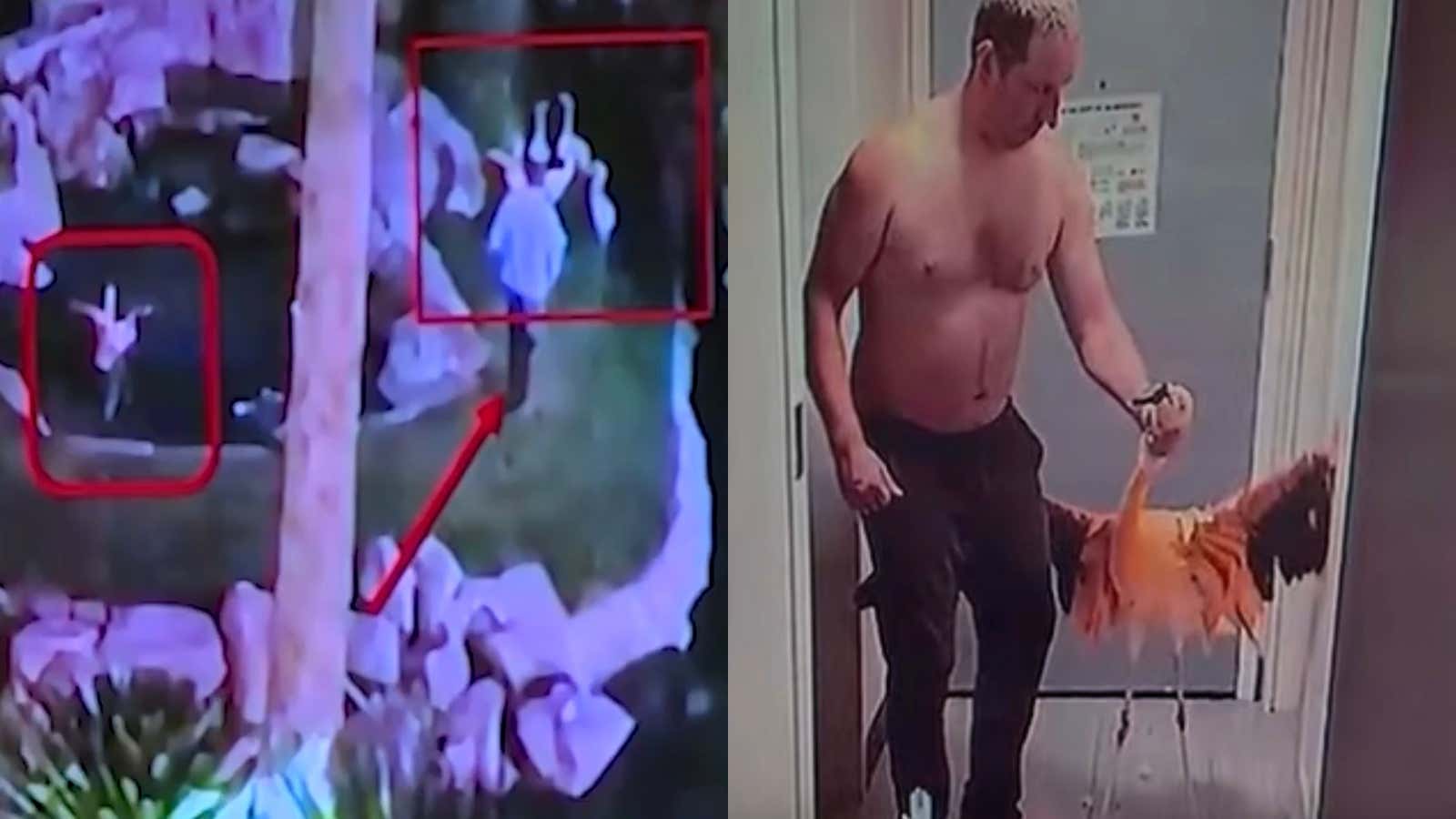 Canadian Tourist Drank "30 to 40 Beers" and Stole a Flamingo From The Flamingo in Las Vegas, Now Faces 4+ Years in Prison