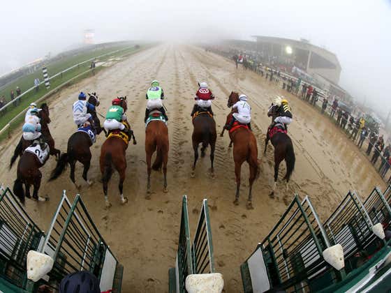 The Preakness Pick Is In