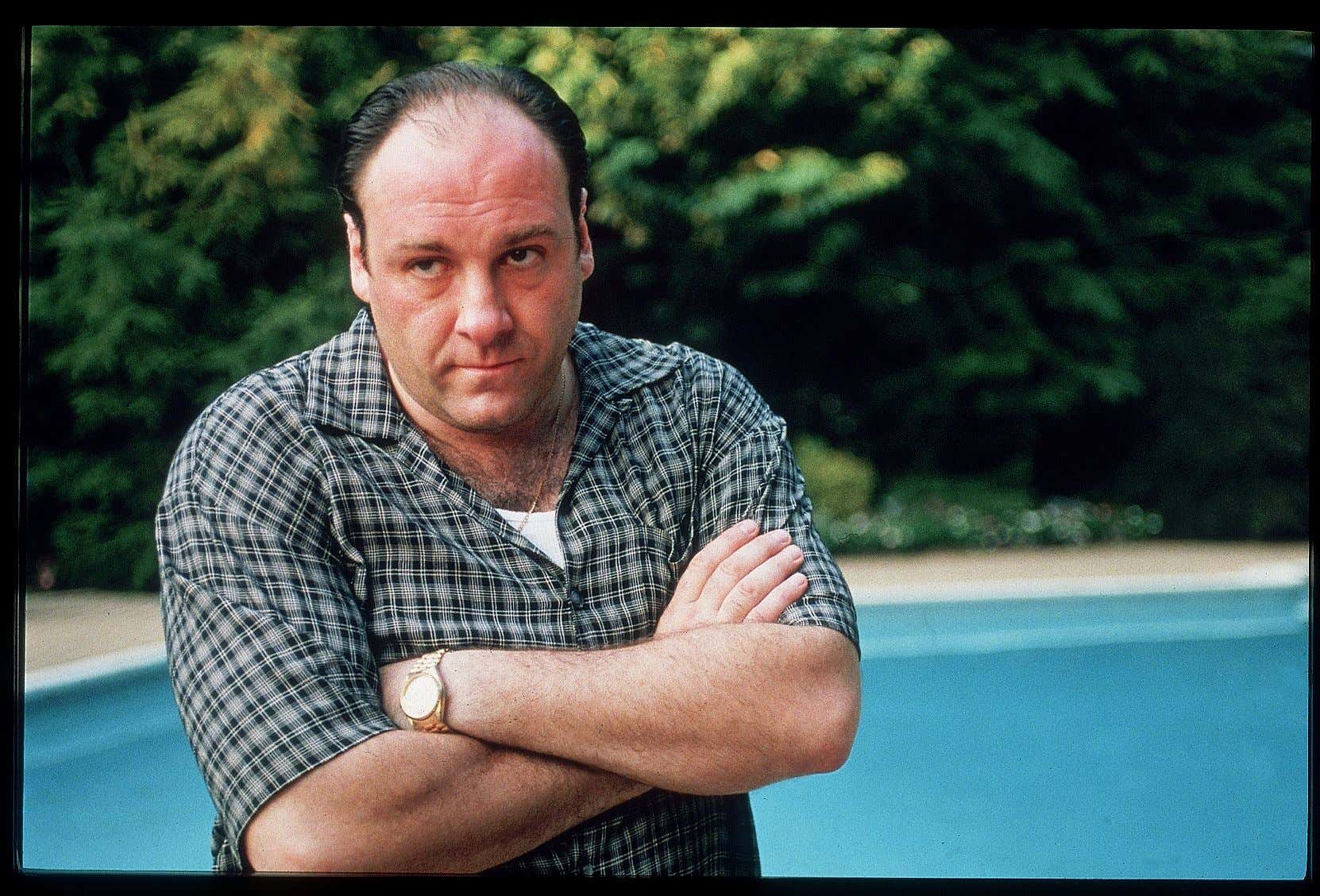 Warner Bros. Is Ruining The Sopranos By Releasing 25 Second Versions Of Each Episode On TikTok