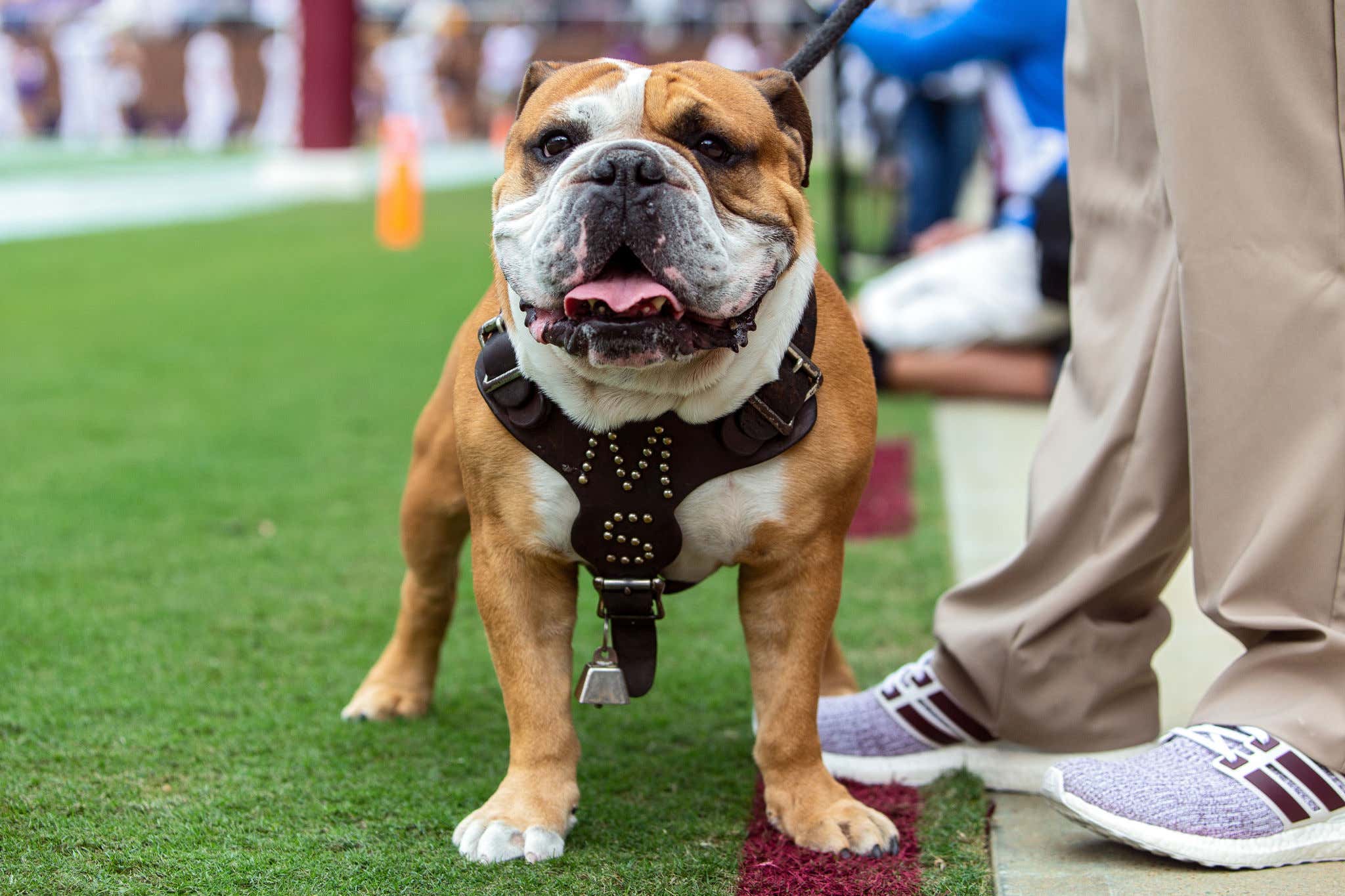 Dak Prescott's Biggest Fear Is Completely Logical And Normal He's
