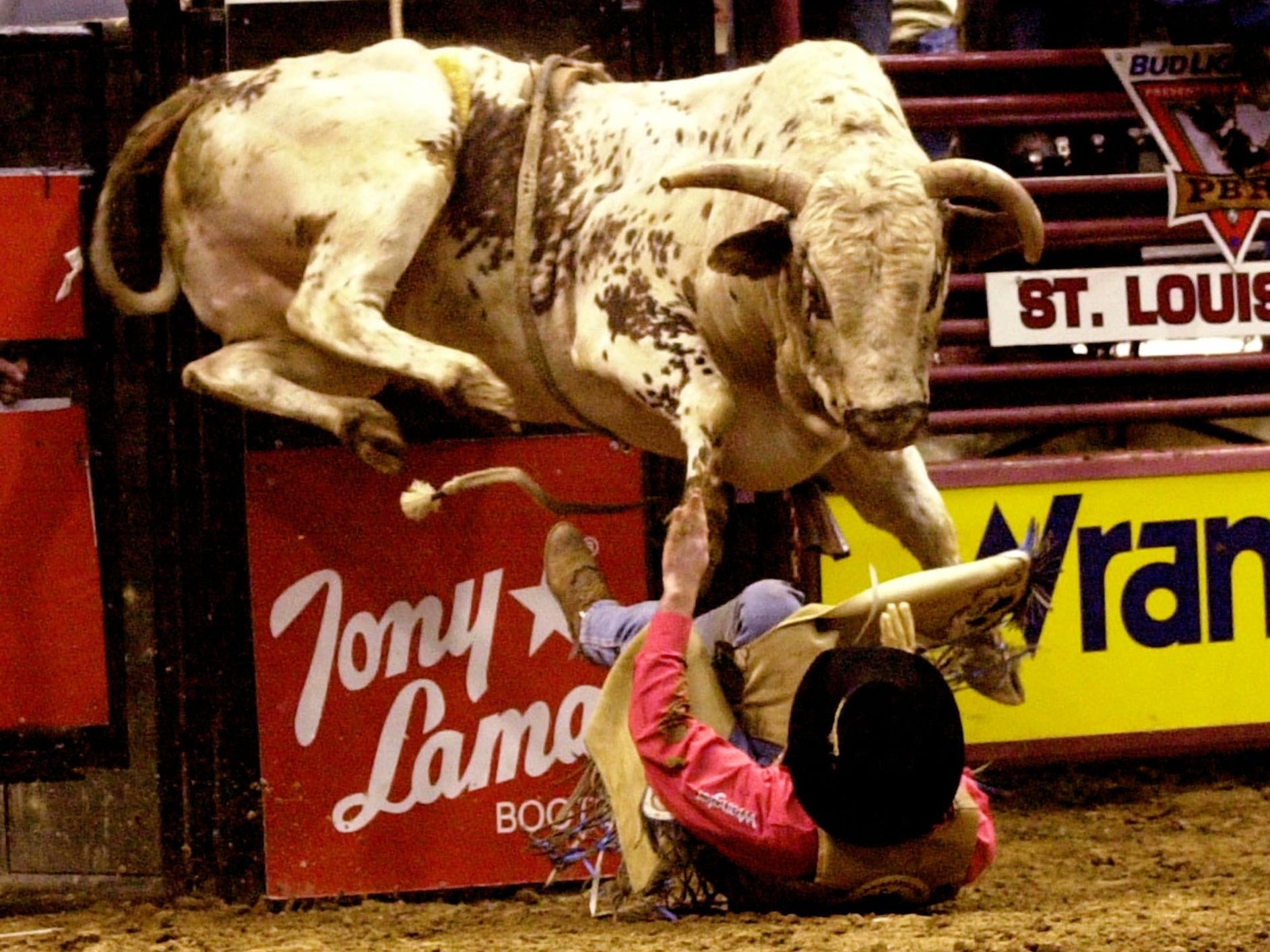 Die Trying Is Back: Its Time To Ride a Bull