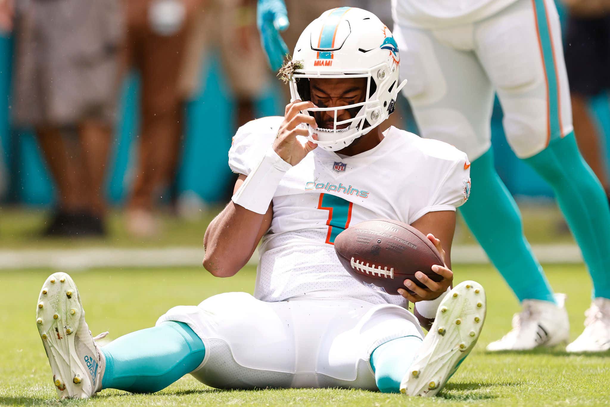 Dolphins Diary Week 2: Disaster